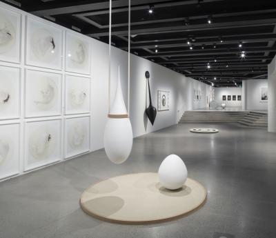 Sophia Kalkau Solen er Hvid og Blow an Egg