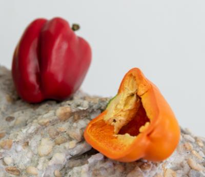 Tony Matelli Bust (Peppers), 2019 