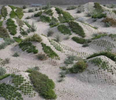 Lea Porsagers stedsspecifikke kunstværk KLIT med form som et anlagt kystlandskab en strandbiotop