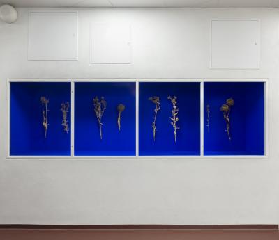 Nat Bloch Gregersen, Glitch Season, 2025, Odense Katedralskole. Foto: Malle Madsen