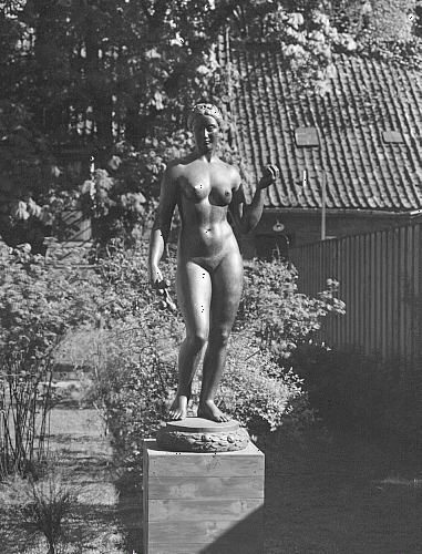 Billede til beviling med id: 35391