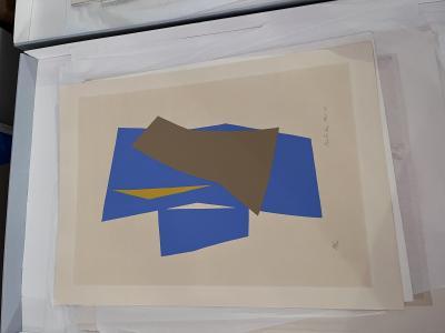 Billede til beviling med id: 18698