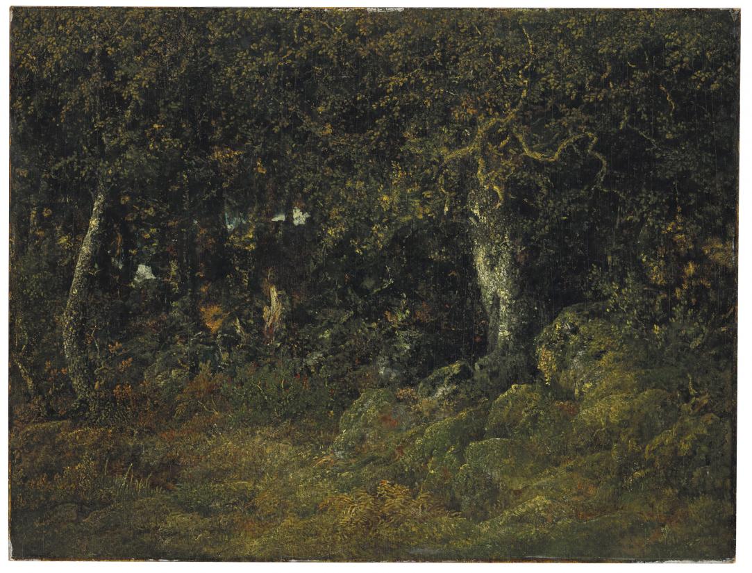 Théodore Rousseau. Le chêne de roche (Klippeegen), 1860