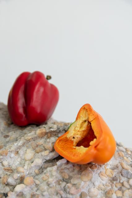 Tony Matelli Bust (Peppers), 2019 