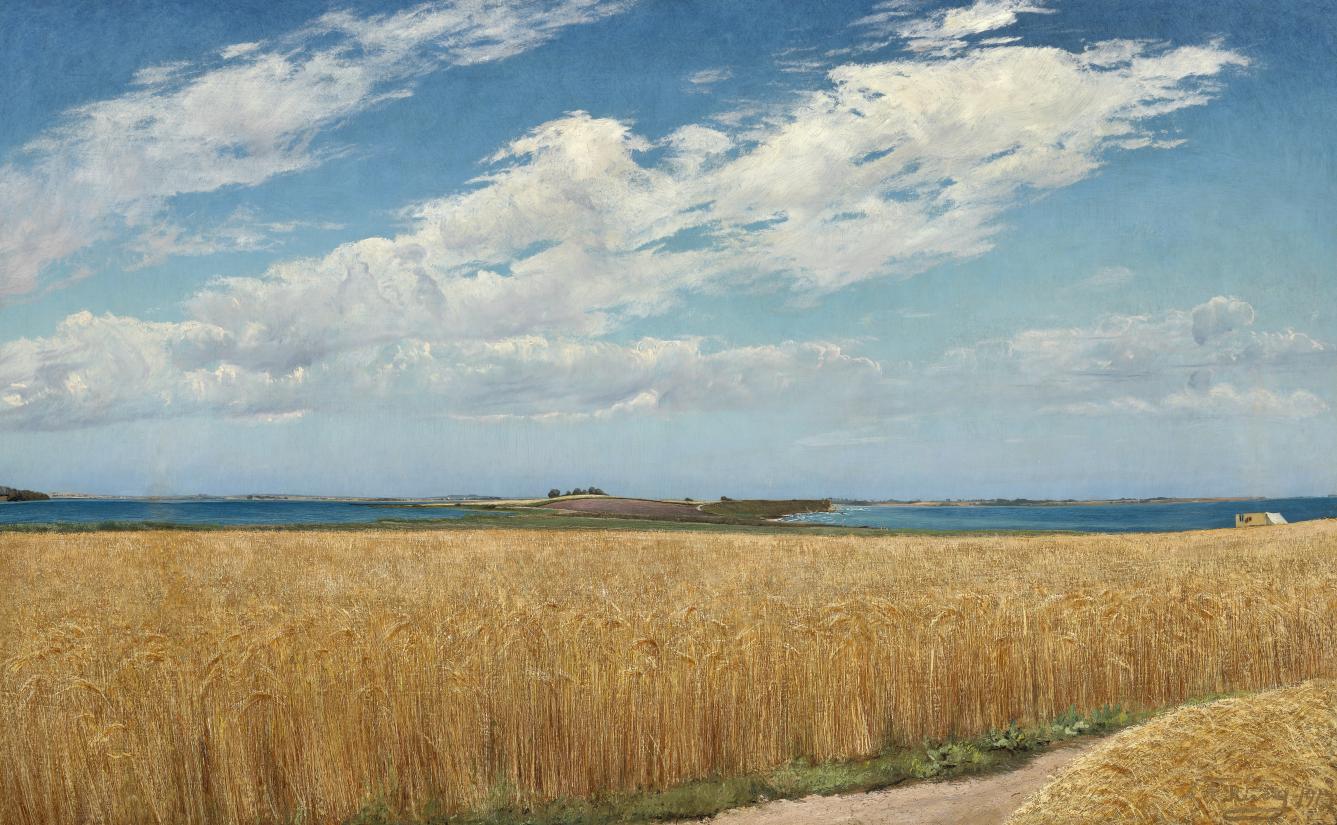 L. A. Ring Sommerdag på Enø. En mark med modent korn i forgrunden, 1913. 