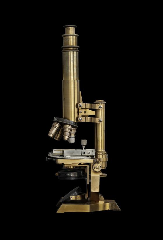 Nicolai Howalt. Microscope No. 1, 2020