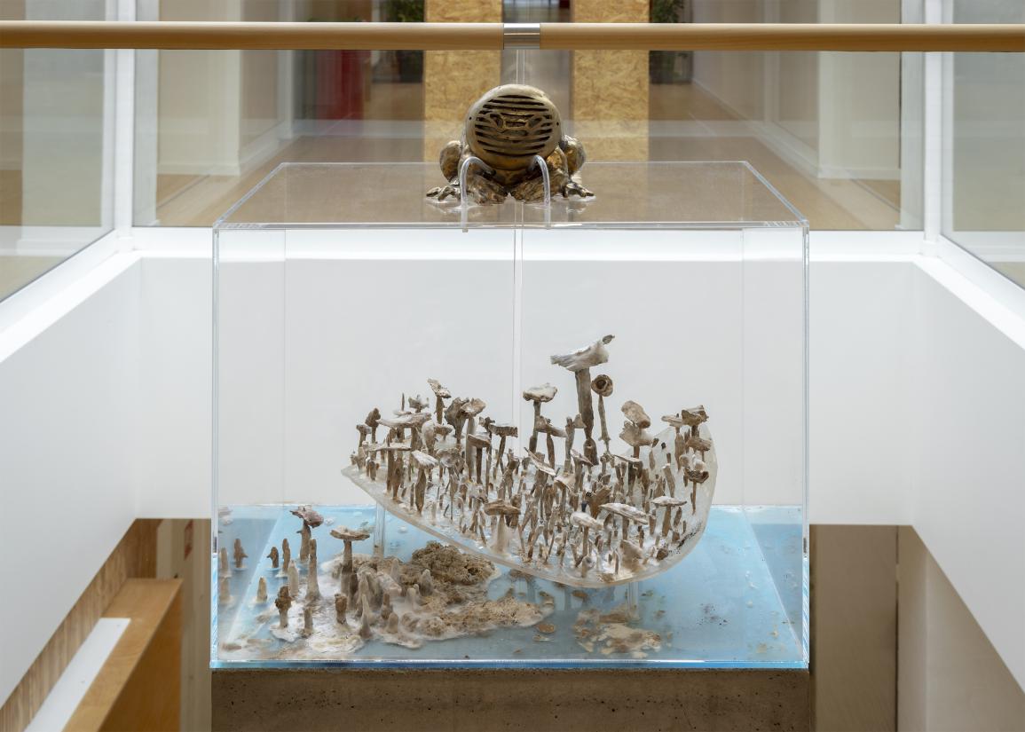 Silas Inoue – Kalundborg Gymnasium NCF 8