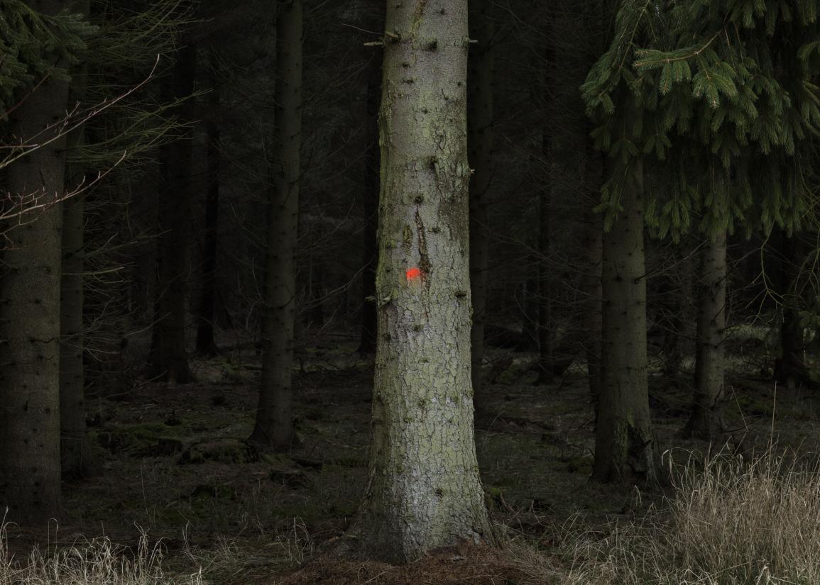 Per Bak Jensen, Mærke/ Mark, 2022. Fotografi – Skive Kunstmuseum