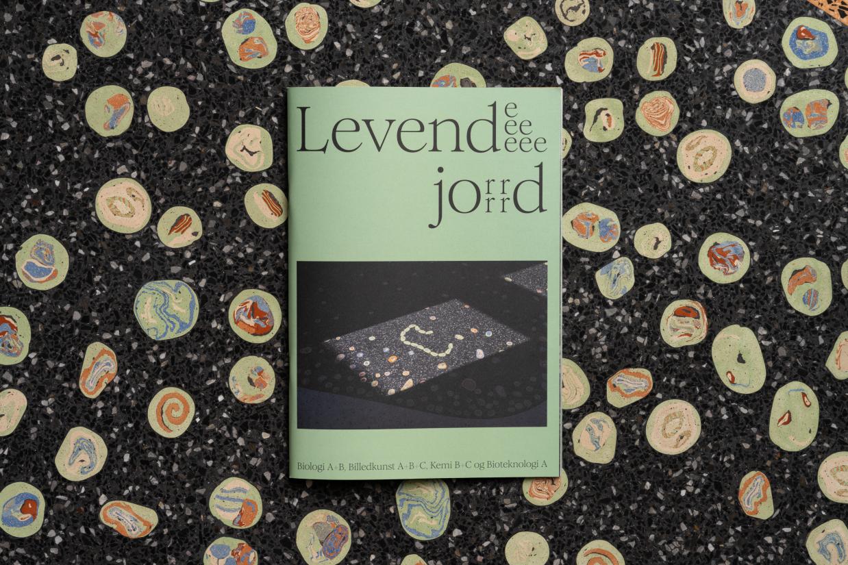 Levende jord, et kunstprojekt af Amalie Smith på Viborg Gymnasium. Foto: David Stjernholm