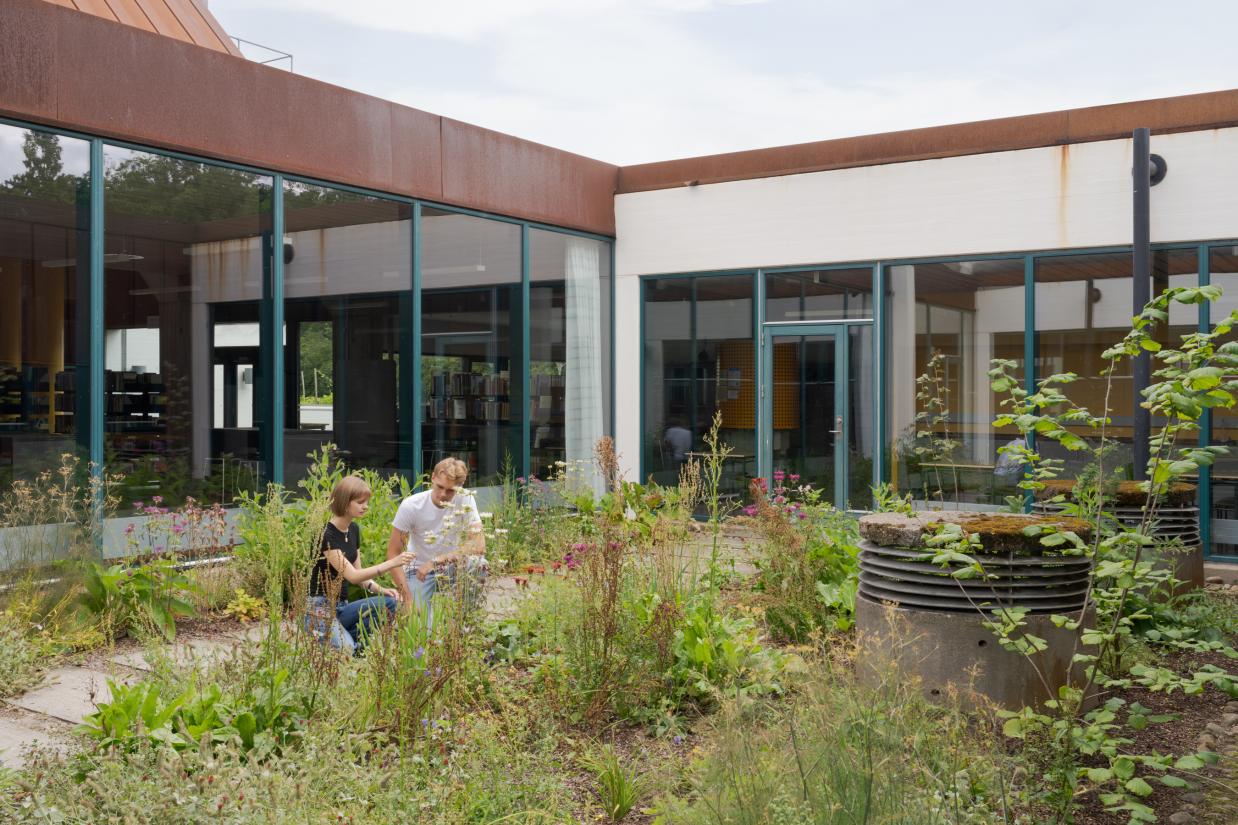 Levende jord, et kunstprojekt af Amalie Smith på Viborg Gymnasium. Foto: David Stjernholm