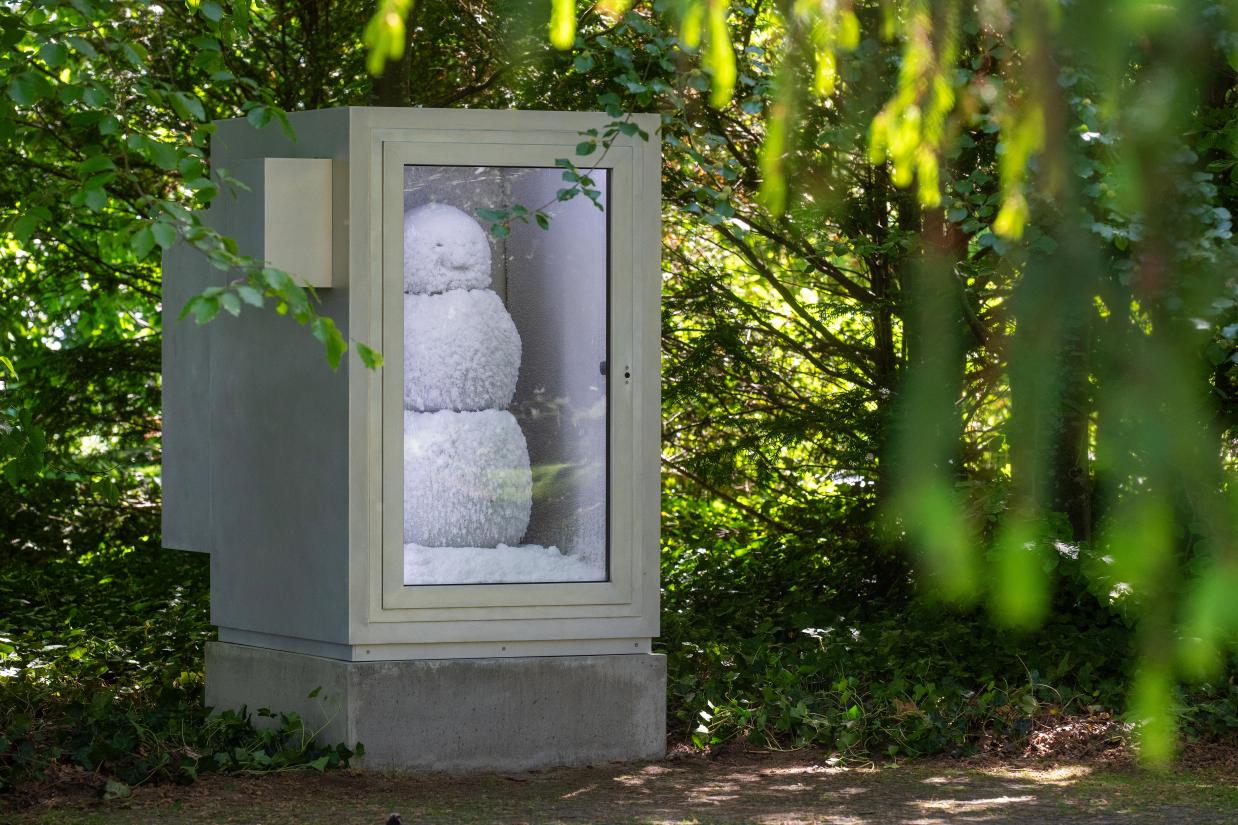 Peter Fischli og David Weiss Snowman