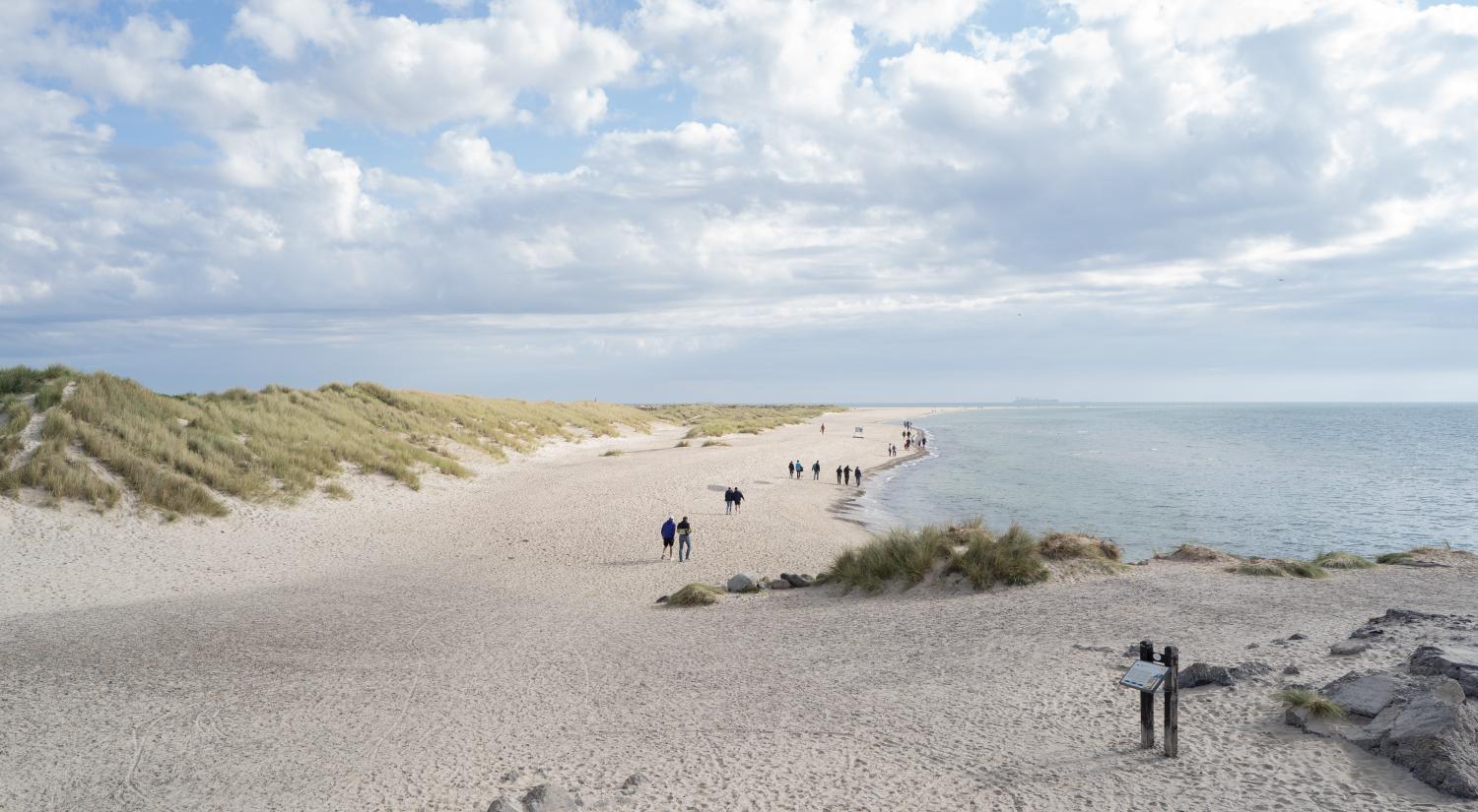 Udkig mod grenen ved Skagen